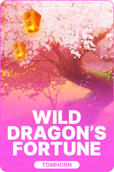 Wild Dragon’s Fortune Wild Dragon’s Fortune