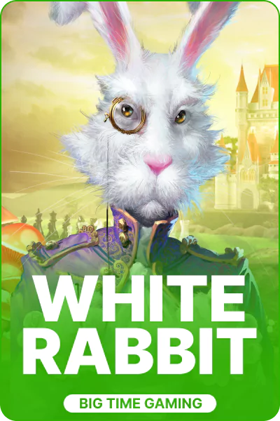 White Rabbit White Rabbit