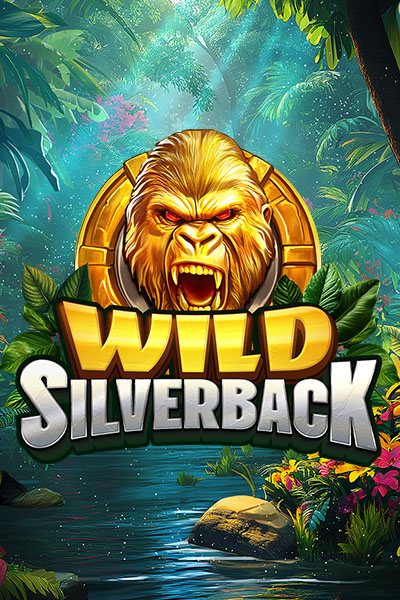 Wild Silverback