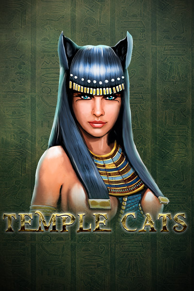 Temple Cats Temple Cats