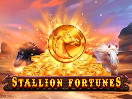 Stallion Fortunes Stallion Fortunes