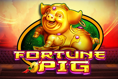 Fortune Pig Fortune Pig