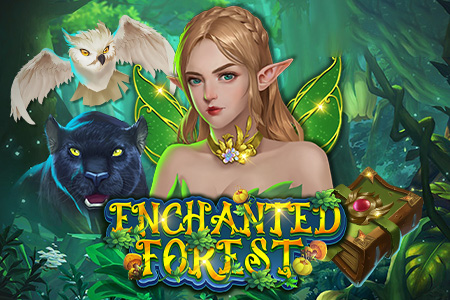 Enchanted Forest Enchanted Forest