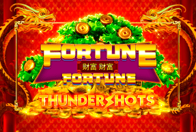 Fortune Fortune Thundershots Fortune Fortune Thundershots