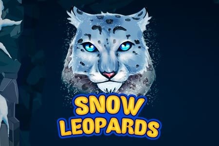 Snow Leopards Snow Leopards