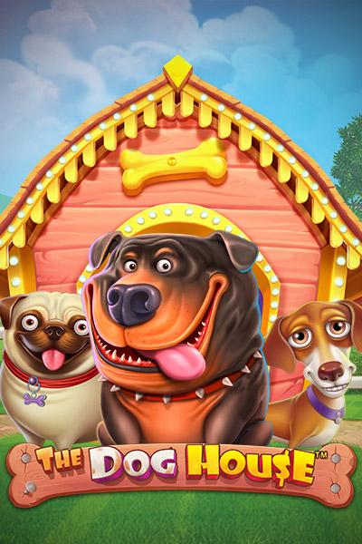Gamblezen Casino: Enjoy Top Slots for Real Cash