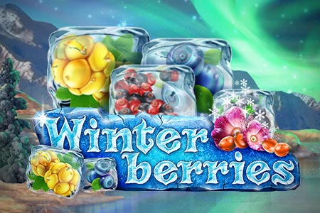 Winterberries Winterberries