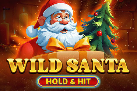 Wild Santa - Hold & Hit