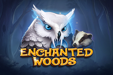 Enchanted Woods Enchanted Woods