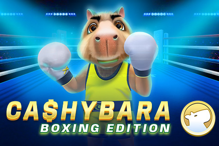 Cashybara Boxing Edition Cashybara Boxing Edition