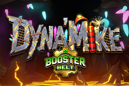Dyna'Mike BoosterBelt