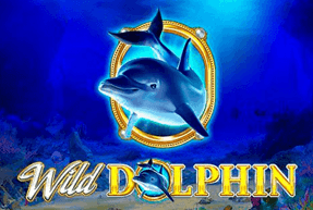 Wild Dolphin Wild Dolphin