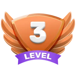 Level 3