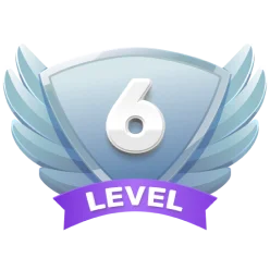 Level 6