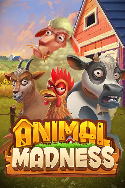 Animal Madness Animal Madness