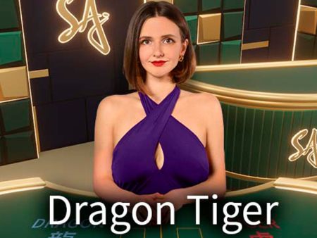 M Dragon Tiger
