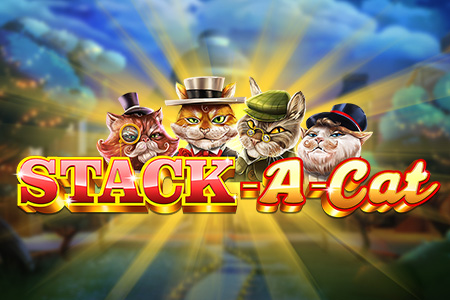 Stack a Cat