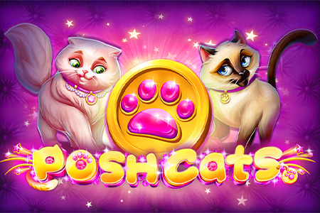 Posh Cats