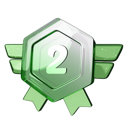 Level 2 (Silver)
