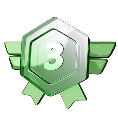 Level 3 (Silver)