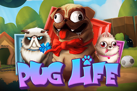 Pug Life Pug Life