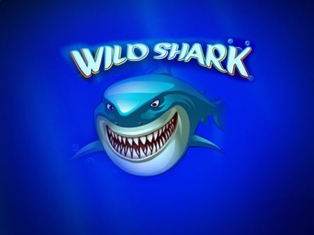 Wild Shark Wild Shark