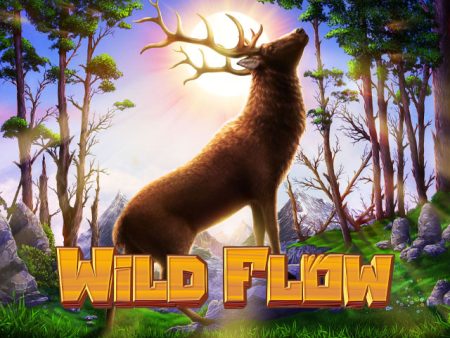 Wild Flow Wild Flow