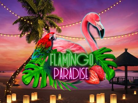 Flamingo Paradise Flamingo Paradise