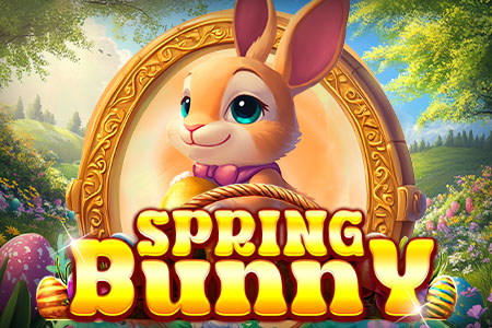 Spring Bunny Spring Bunny