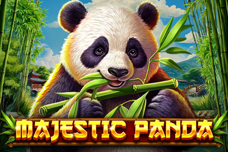 Majestic Panda Majestic Panda