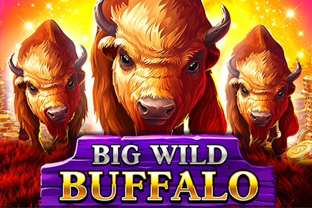 Big Wild Buffalo