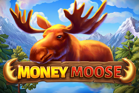 Money Moose