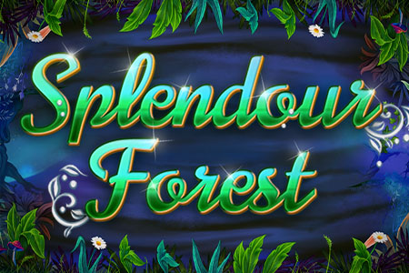 Splendour Forest Splendour Forest