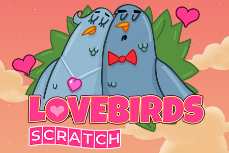 Love Birds Love Birds