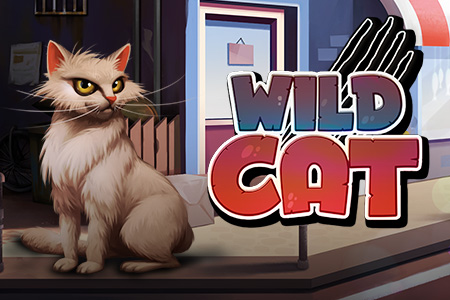 Wild Cat Wild Cat