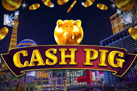 Cash Pig Cash Pig