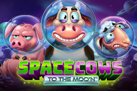 Space Cows to the Moo'n Space Cows to the Moo'n