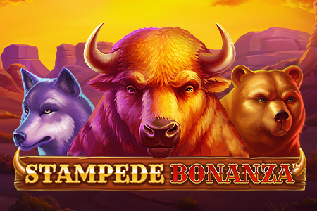Stampede Bonanza Stampede Bonanza