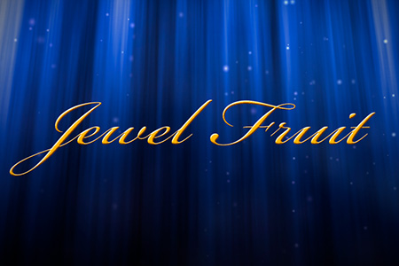 Jewel Fruits Jewel Fruits