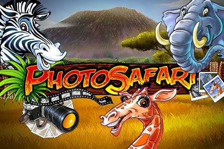 Photo Safari