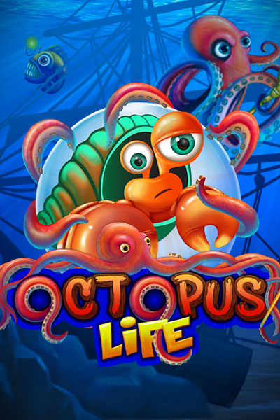 Octopus Life Octopus Life