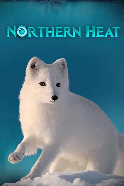 Northern Heat Northern Heat