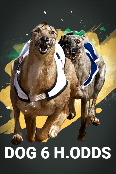 Dog 6 H.Odds Dog 6 H.Odds