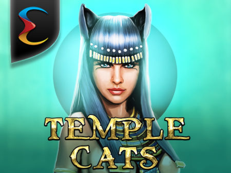Temple Cats Temple Cats