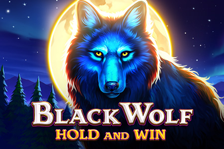 Black Wolf Black Wolf