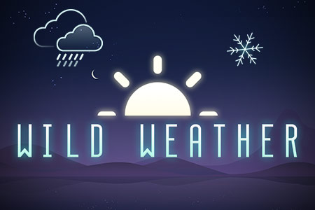 Wild Weather