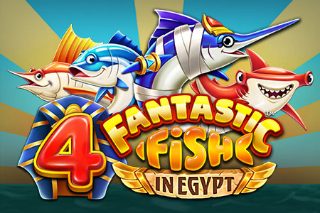4 Fantastic Fish in Egypt