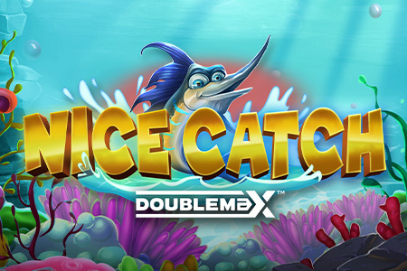 Nice Catch DoubleMax