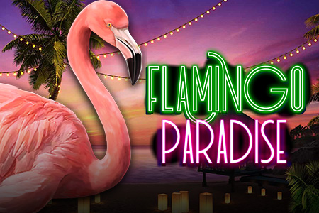 Flamingo Paradise