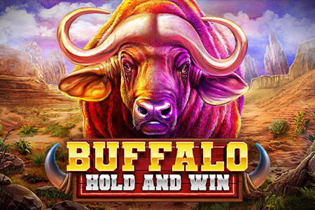 Buffalo Hold and Win